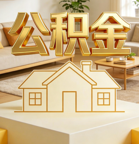 白山资金如何“活”起来，服务如何“智”起来？